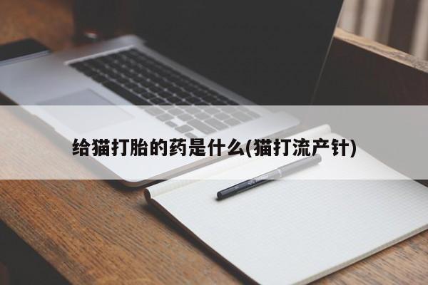 打胎药大月份用联系微信给猫打胎的药是什么(猫打流产针)
